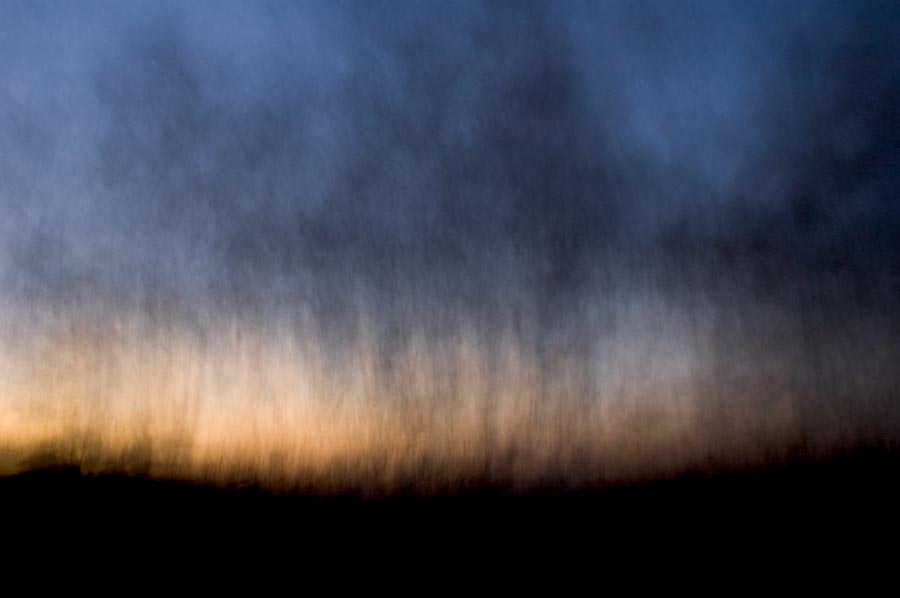 new forest blur julian konczak