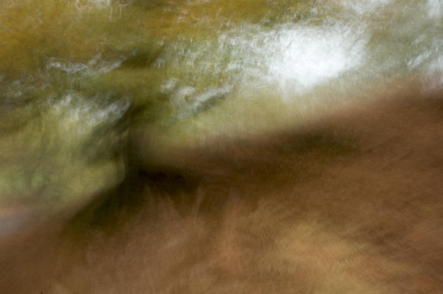 new forest blur julian konczak