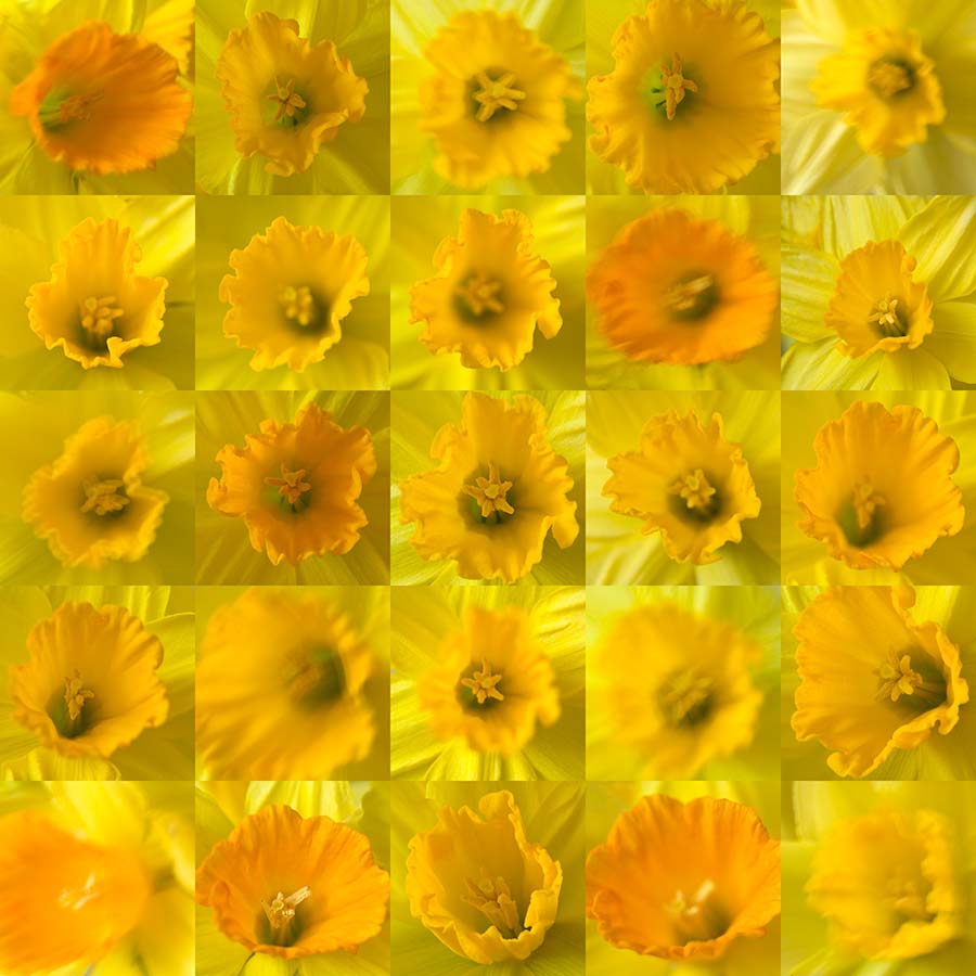 konczak photography art digital 25