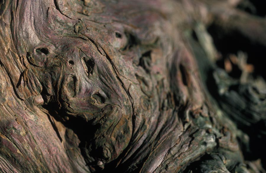 35mm slides julian konczak