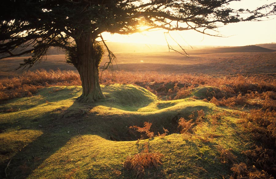 35mm slides julian konczak