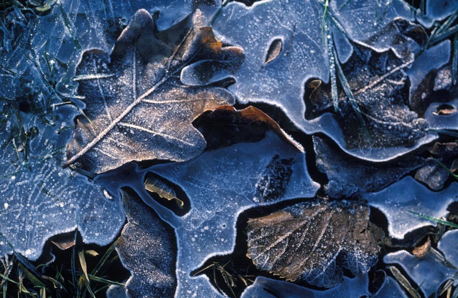 35mm slides julian konczak