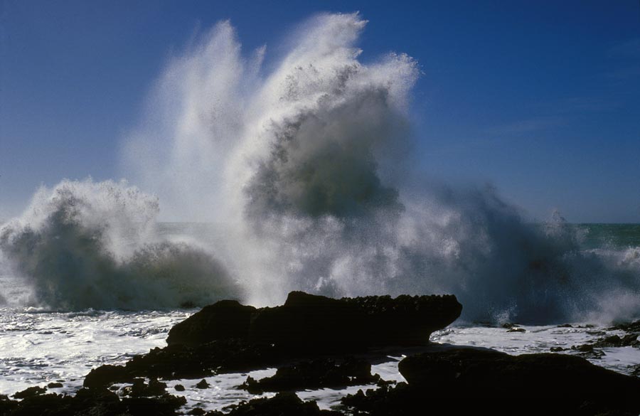 35mm slides julian konczak