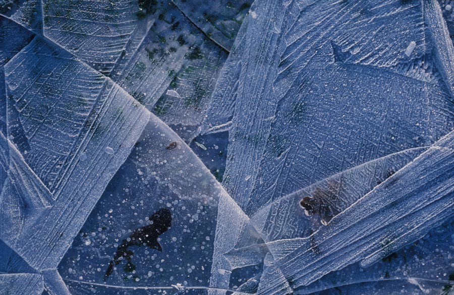 35mm slides julian konczak